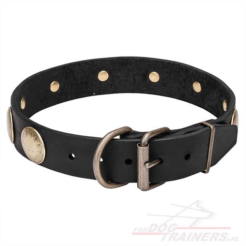 honden halsband echt leer