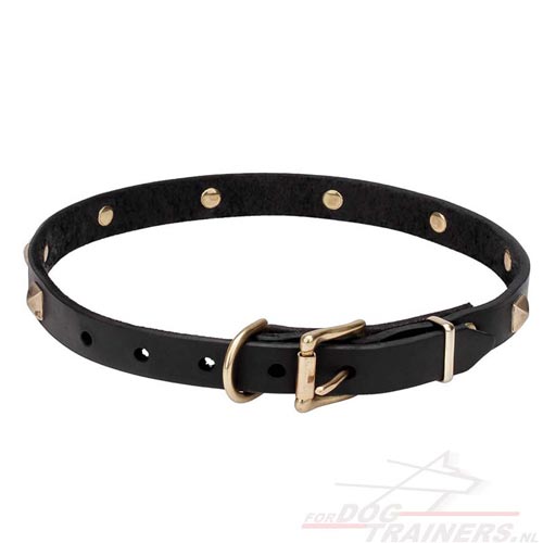 Tear-and-wear Resistant Dog Collar