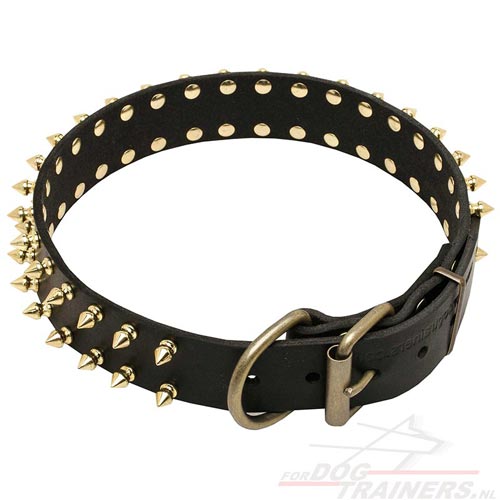 Wijde hondenhalsband, spikes van messing