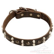 Leren Honden Halsband met Pyramides en Knoppen | Handig Item