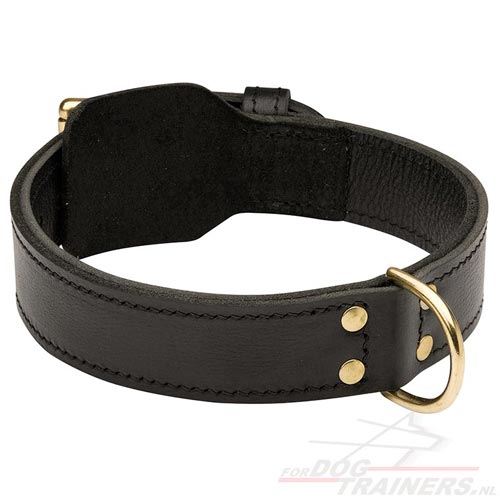 Agitatie Honden Halsband