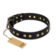 Chique hondenhalsband van leer met studs