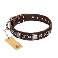 Lederen Honden halsband "Perfect Impression" FDT Artisan