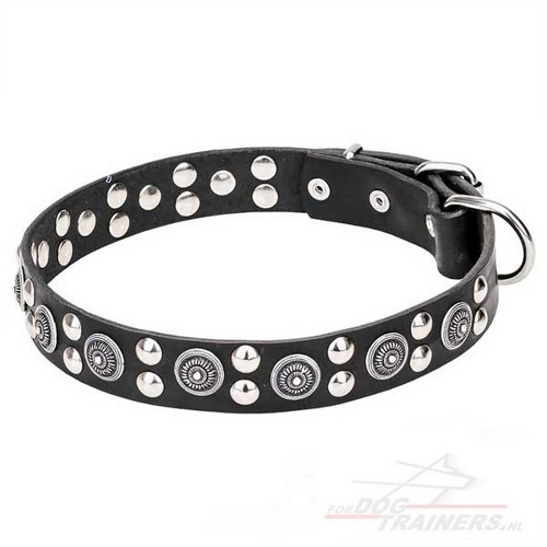 Mooie hondenhalsband gemaakt van leer met glanzende sieraden Mooie hondenhalsband gemaakt van leer met glanzende sieraden