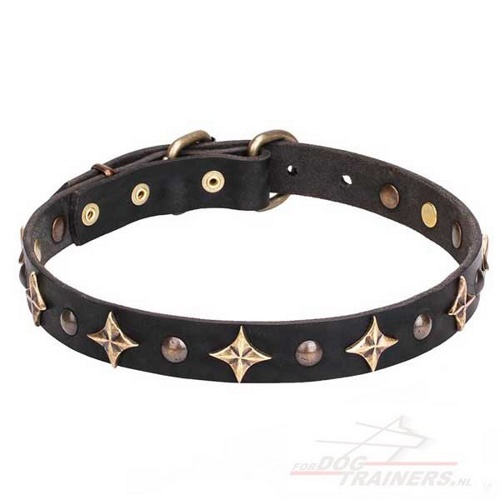Designer lederen honden halsband met gebronsde sterren en rivets Designer lederen honden halsband met gebronsde sterren en rivets