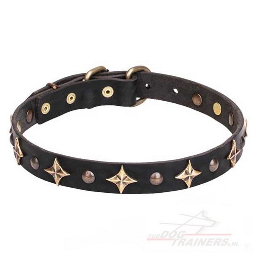 Designer lederen honden halsband met gebronsde sterren en rivets - Klik op de afbeelding om het venster te sluiten