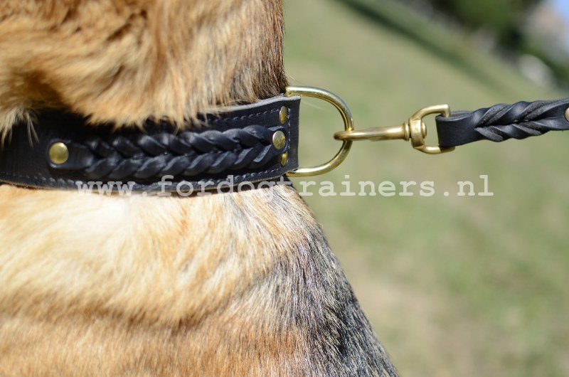 Halsband leer voor wandelen Diuste halsband - €69.9