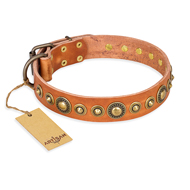 tan lederen hondenhalsband High fashion Hondenhalsband Feast of Future