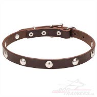 Leren Honden Halsband met Studs 20 mm breed