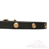 Lederen halsband met messing cirkels| 20 mm Small Lederen halsband met messing cirkels| 20 mm Small