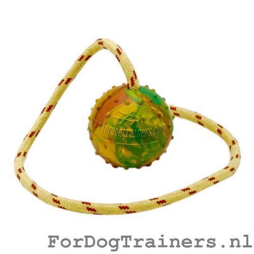 Rubberen Training Bal