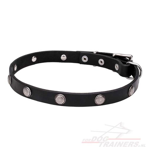 Tear-and-wear Resistant Dog Collar