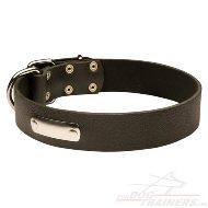 Lederen Halsband Hond met Naam