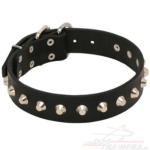 Nuttige hondenhalsband voor training met actieve honden