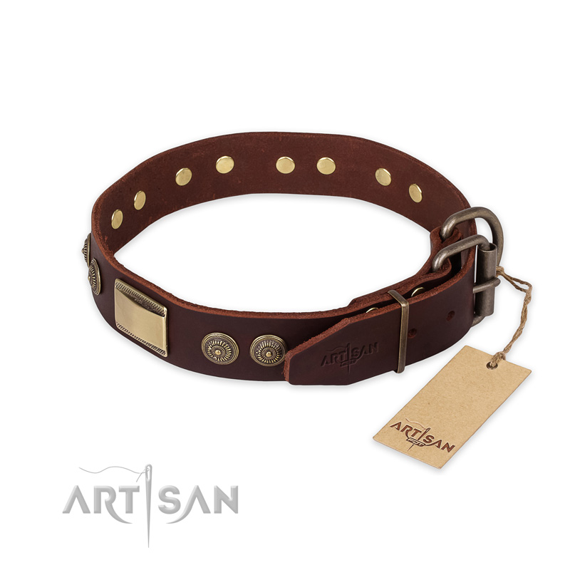 Zonnig Vuil Observatorium Modieuze lederen halsband voor honden met bronzen studs - €63.2