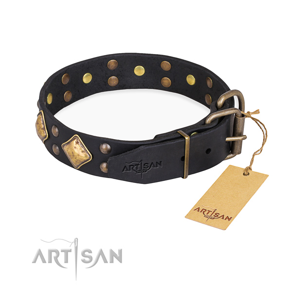 Lederen Honden Halsband met Messing
Versieringen