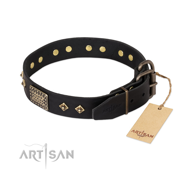 Lederen zwarte halsband hond met leuke studs