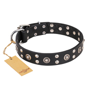 Zwarte leren hondenhalsband met zilveren studs