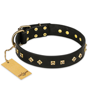 Zwarte exclusieve hondenhalsband leer Zwarte exclusieve hondenhalsband leer