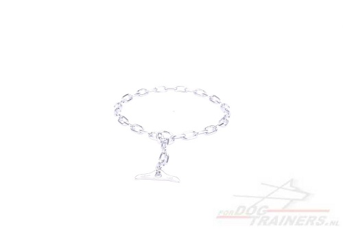 Herm Sprenger Honden Prik Halsband met 3.2 mm
Uitsteeksels Halsband