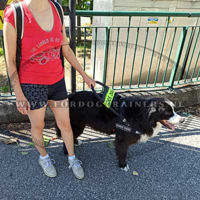 Zwart Nylon Hondentuig voor Blindengeleidehonden