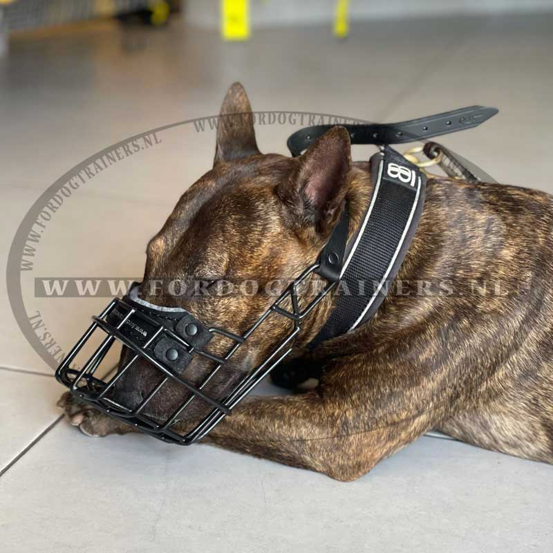 Don Pare Muilkorf Model 101 In Goud Drinken Altijd Mogelijk Ideaal Voor Freewheeling, Kennel, Cage, Dog Racing, Auto, Bescherming tegen gifaas Door Amathings