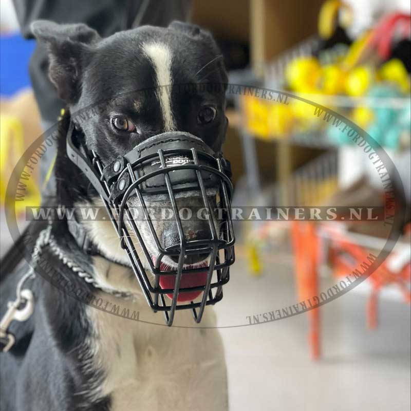 Muilkorf voor honden met verstelbare muilkorf, zelfklevende muilkorf