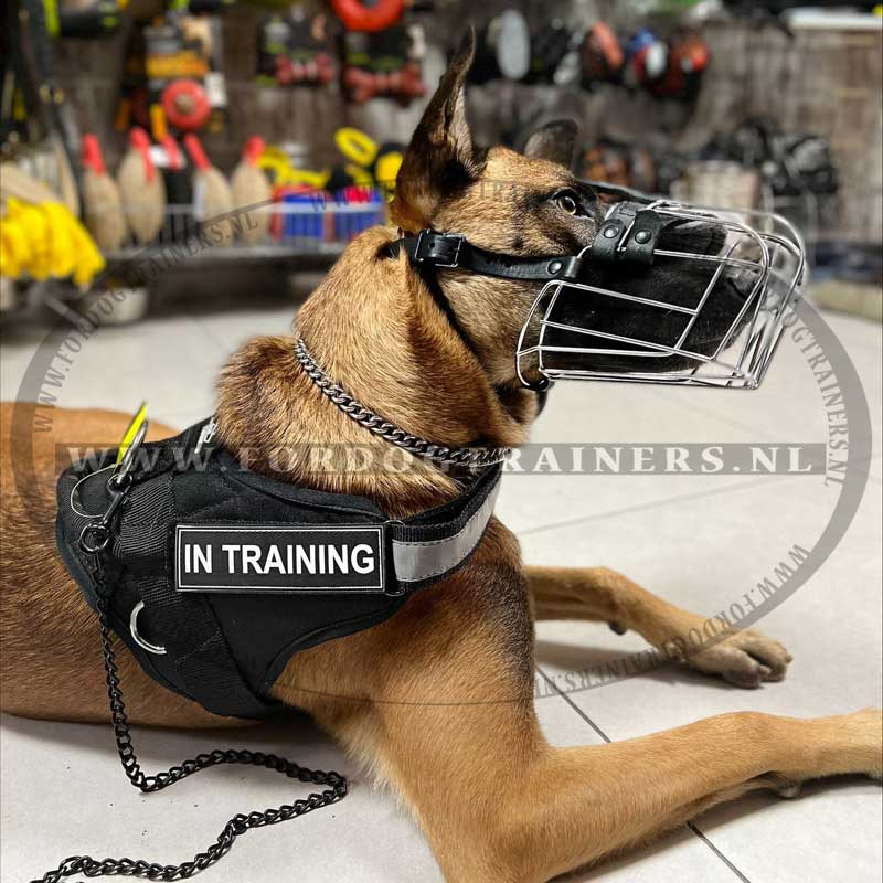 Nylon hondenmuilkorf voor kleine, middelgrote en grote honden, ademend en drinkbaar luchtgaas voor anti-bijten, anti-blaffen likken (grijs, XL Nylon hondenmuilkorf voor kleine, middelgrote en grote honden, ademend en drinkbaar luchtgaas voor anti-bijten, anti-blaffen likken (grijs, XL