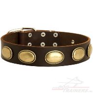 Vintage Honden Halsband met Platen