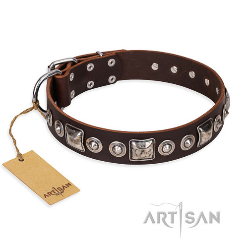 Honden halsband "Pierian spring" FDT Artisan - Klik op de afbeelding om het venster te sluiten