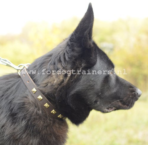 Duitse Herder Halsband van leer mer Design ✤ - Klik op de afbeelding om het venster te sluiten