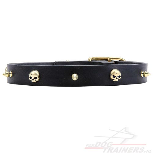 Honden Halsband met Messing Spikes en Schedles "Rock the Goth" - Klik op de afbeelding om het venster te sluiten