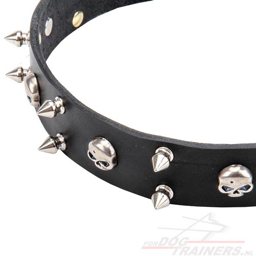 Honden Halsband met Schedels en 2 Rijen Spikes "Jolly Roger" - Klik op de afbeelding om het venster te sluiten