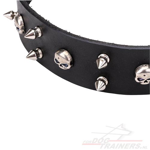 Lederen Honden Halsband met Schedels en Spikes "Blackbeard" - Klik op de afbeelding om het venster te sluiten