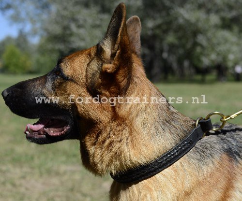 Training Stik halsband voor Duitse Herder - Klik op de afbeelding om het venster te sluiten