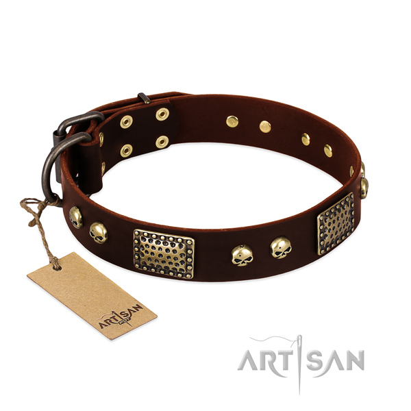 Hondenhalsband Leer Bruin|Hondehalsband Leer Breed