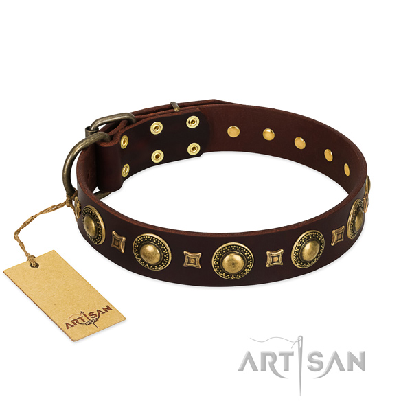 Bruine FDT Artisan hondenhalsband