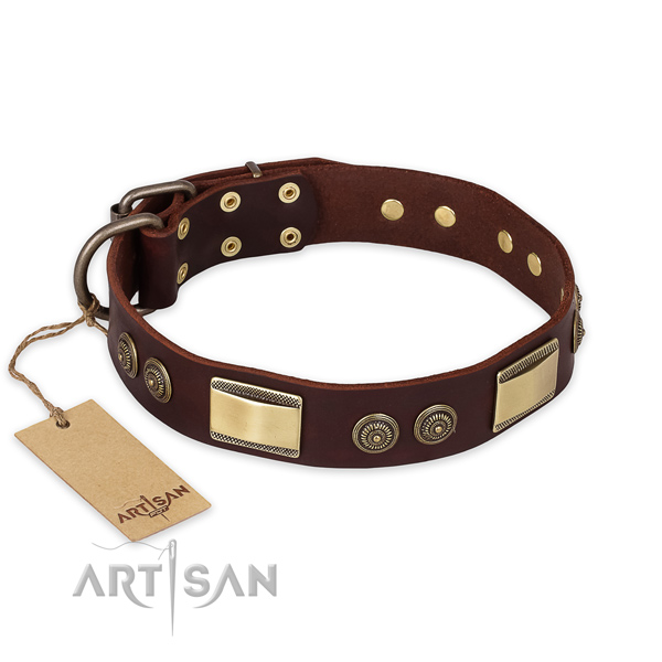 Exclusief ontwerp hondenhalsband bruin