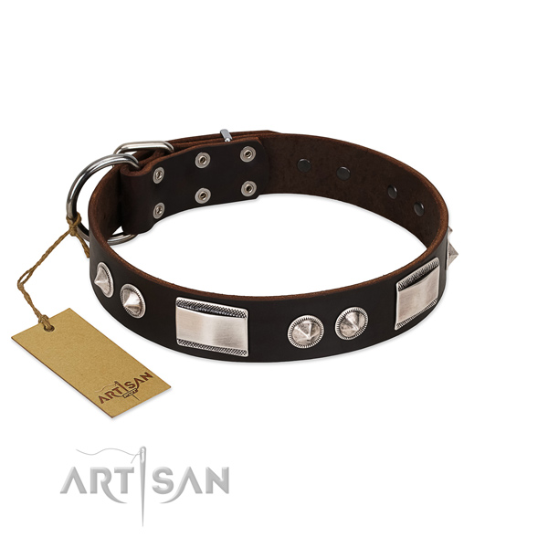 Elegant leren zwarte hondenhalsband