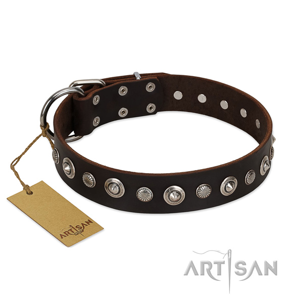 Hondenhalsband Leer met Studs|Hondenhalsband Leer Bruin