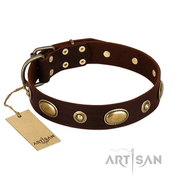 Exclusieve hondenhalsband leer bruin