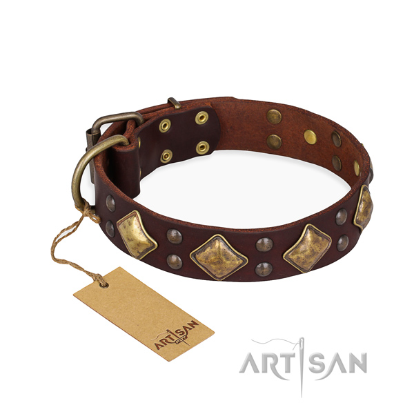 Bruine hondenhalsband Prachtige hondenhalsband van leer