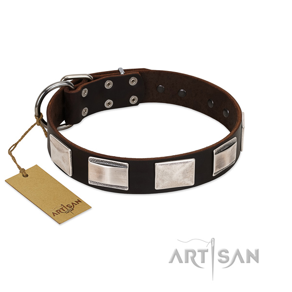 Zwarte elegante hondenhalsband Zwarte elegante hondenhalsband