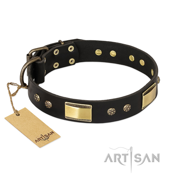 Zwarte chique lederen hondenhalsband Zwarte chique lederen hondenhalsband