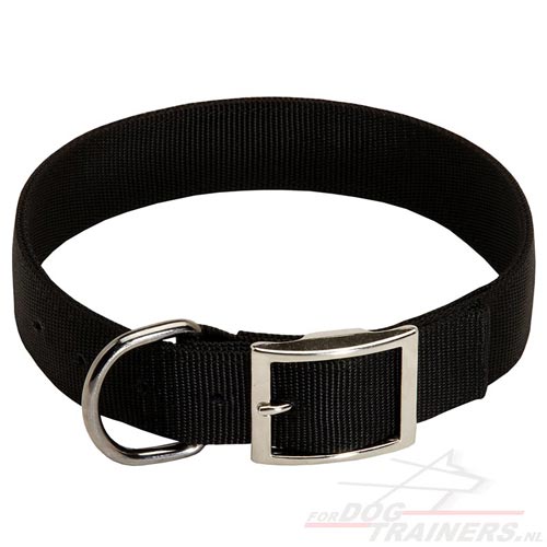 Nylon halsband met vernikkelde gesp en D-ring❺❺ - Klik op de afbeelding om het venster te sluiten