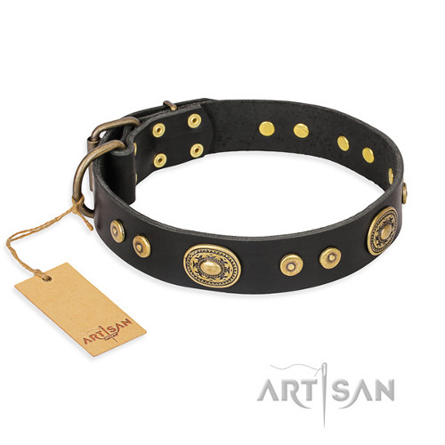 Honden halsband "Golden Radiance" FDT Artisan - Klik op de afbeelding om het venster te sluiten