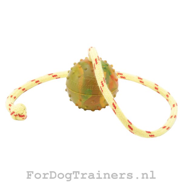 Training Bal met Touw voor honden - Klik op de afbeelding om het venster te sluiten