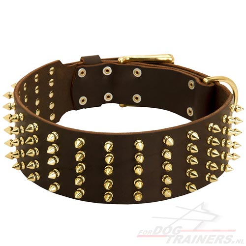 Hondenhalsband leer met Messing Studs - Klik op de afbeelding om het venster te sluiten