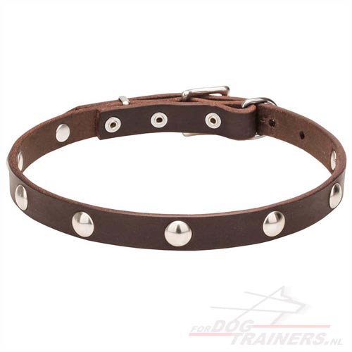 Leren Honden Halsband met Studs 20 mm breed - Klik op de afbeelding om het venster te sluiten