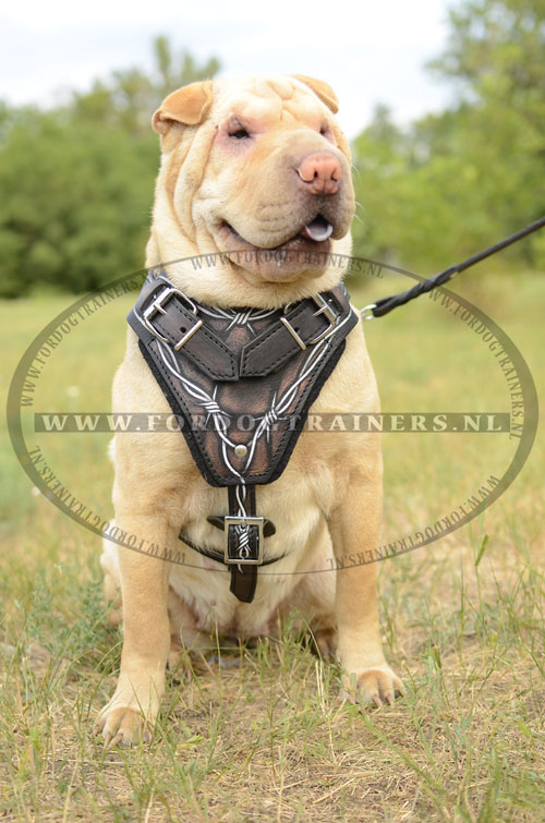 Stekeldraad Design Leren Hondenruig voor Shar-Pei - Klik op de afbeelding om het venster te sluiten